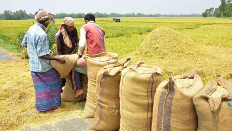 No shortage of food in Bangladesh: World Bank