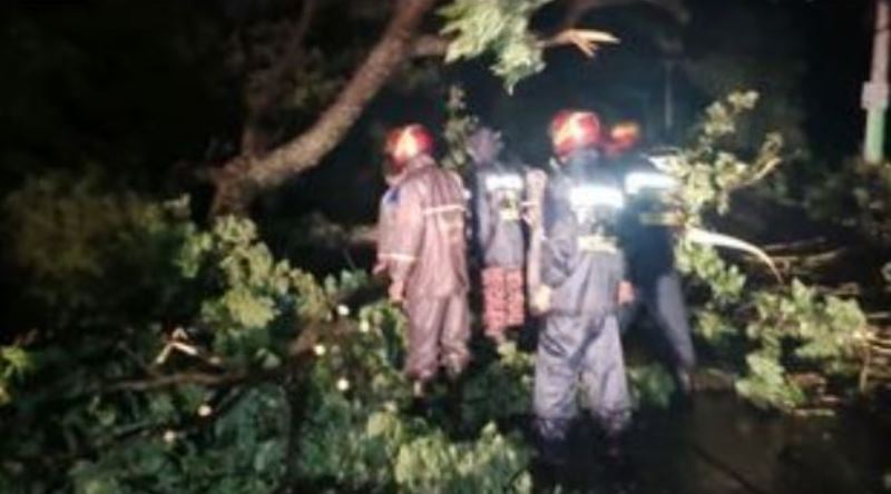 115-year-old woman dies as tree fell on her house during Cyclone Sitrang
