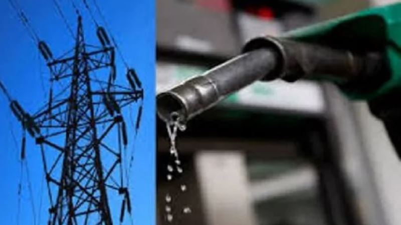 Govt gets power to determine electricity and fuel prices in special cases