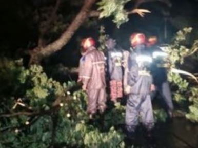 115-year-old woman dies as tree fell on her house during Cyclone Sitrang