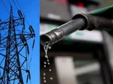 Govt gets power to determine electricity and fuel prices in special cases