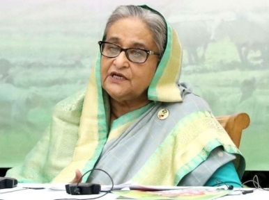 Several parties are plotting to overthrow the government: PM Hasina