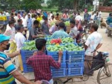 Rajshahi market experiences mango shortage