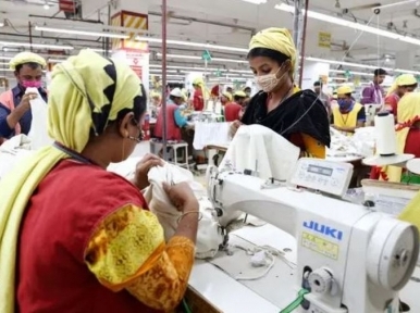 Garment exports to Europe increased by 23%