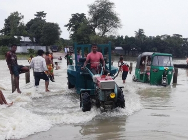 জামালপুরে বন্যা: ডুবেছে বোরো ধান