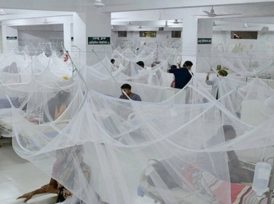 Dengue: Six deaths, 559 admitted to hospital