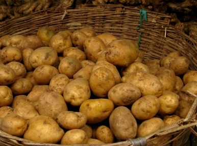 No buyers for potatoes even at Rs 4 per kg
