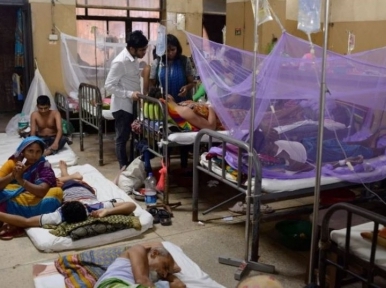 Eight die of dengue, 692 patients newly admitted on Tuesday