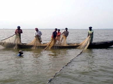 Not hilsa, flocks of pangas fish being caught in Meghna