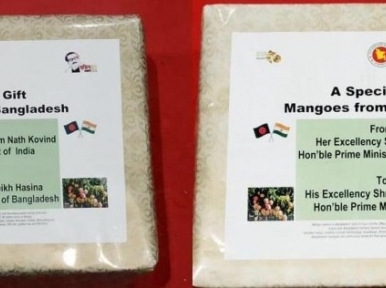 PM sends 'Amrapali Mango' for Indian President and Prime Minister