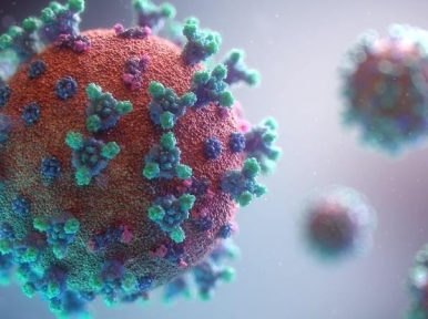 Coronavirus: One dead, 140 new cases on Thursday