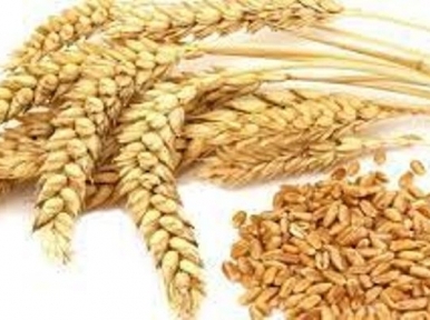 Food grains that Bangladesh imports from Russia-Ukraine