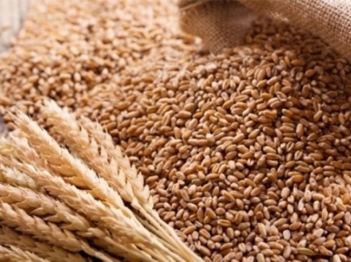 India not restricting wheat exports to Bangladesh: Indian High Commission