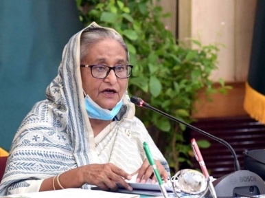 Bangladesh does not depend on Indian cows: PM Hasina
