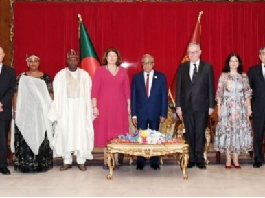 Identity cards of 9 countries' envoys presented to the President