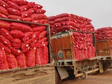 Consumer Protection Dept advises govt to import onion to control its price