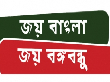 Writ filed to include 'Joy Bangabandhu' in the national slogan