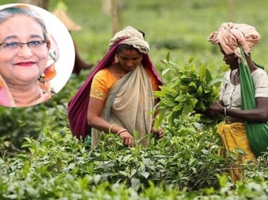 Prime Minister to talk to the tea workers today