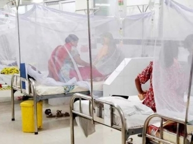Dengue: Five dead, 788 admitted to hospital on Saturday
