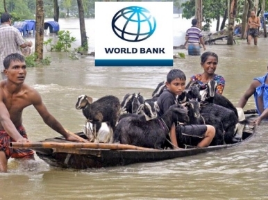 Bangladesh's action to combat climate risk is an inspiration for vulnerable countries: World Bank