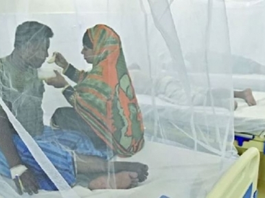 Dengue claims three more, 515 hospitalised