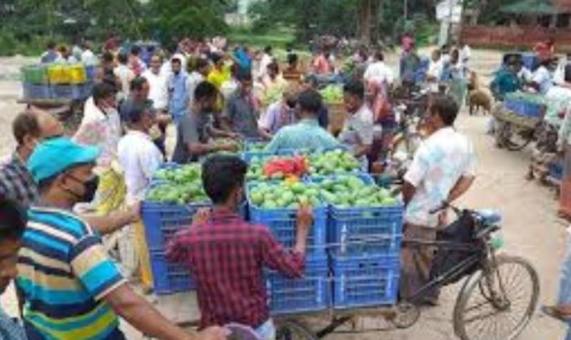 Rajshahi market experiences mango shortage