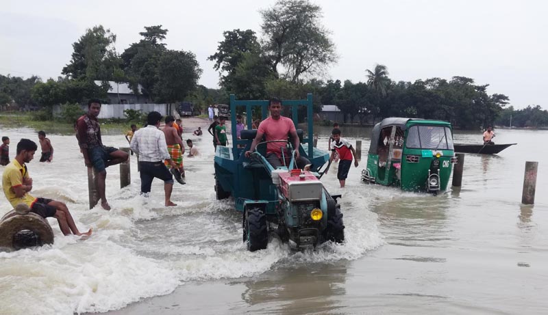 Flood in Jamalpur destroys boro paddy