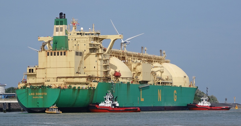 LNG to be imported only after monitoring stability in the world market