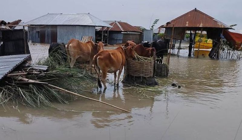 Flood situation deteriorates in Brahmaputra river basin