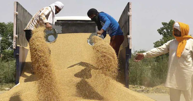 India receives request to export 15 lakh tonnes of wheat