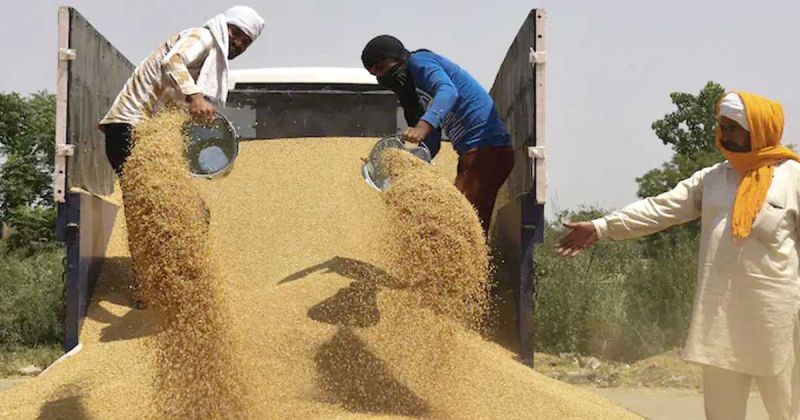 India receives request to export 15 lakh tonnes of wheat India receives request to export 15 lakh tonnes of wheat
