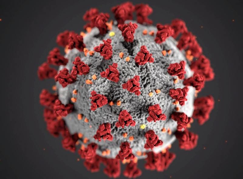 Coronavirus: 19 people test positive for virus on Friday Coronavirus: 19 people test positive for virus on Friday