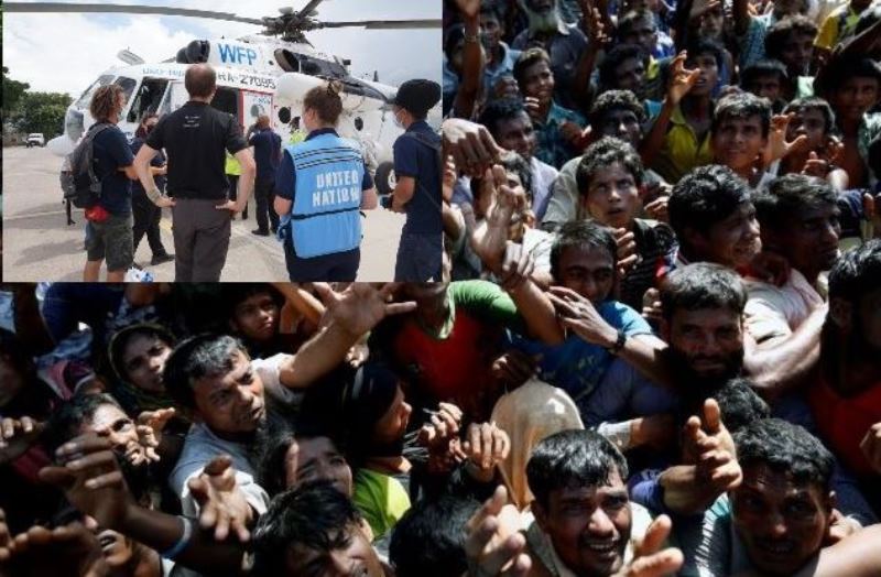 UN could not raise even half of the Rohingya funds