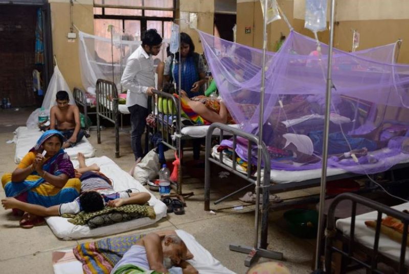 Eight die of dengue, 692 patients newly admitted on Tuesday