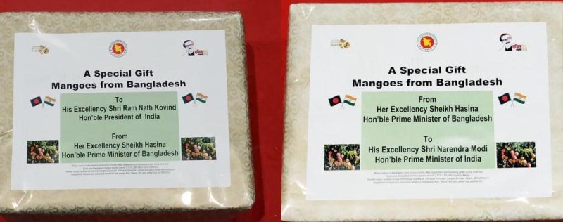 PM sends 'Amrapali Mango' for Indian President and Prime Minister