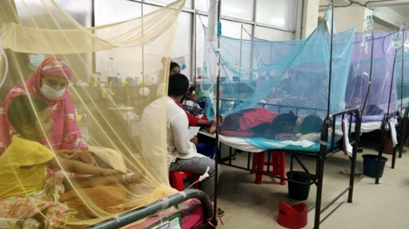 Three more die of dengue, 250 hospitalised