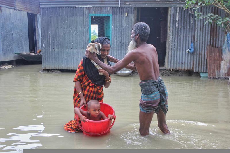 Animals stay with human in same shelter as flood hits parts of Bangladesh