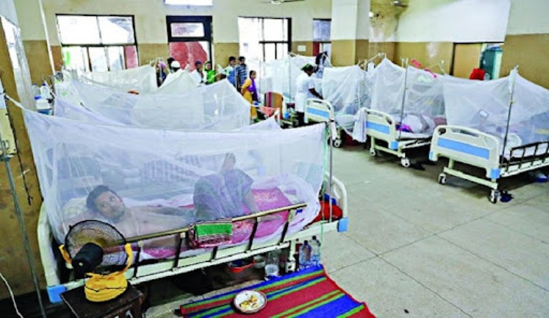 Six succumb to dengue, 918 patients hospitalized