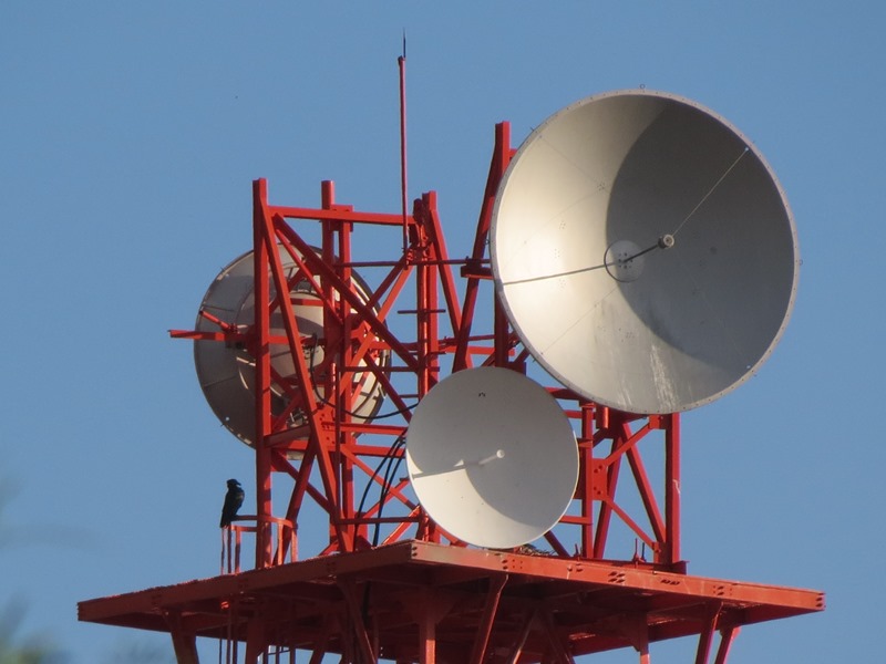 Bangladeshi TV channels can now uplink their contents from India Bangladeshi TV channels can now uplink their contents from India