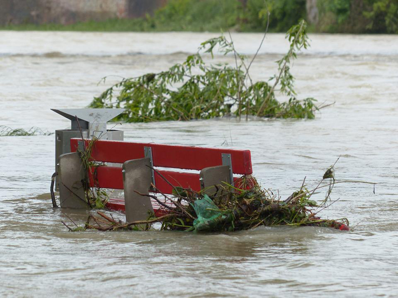 Several districts of Bangladesh hit by flood