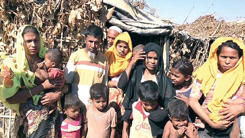 35,000 children born in Rohingya camps every year