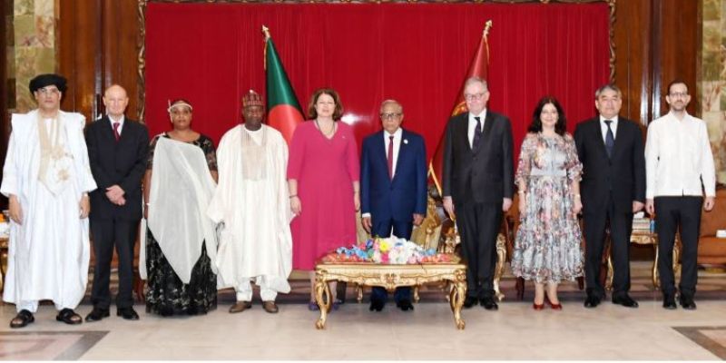 Identity cards of 9 countries' envoys presented to the President