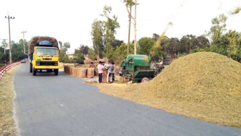 ধান পরিবহনে বাড়লো ট্রাক ভাড়া