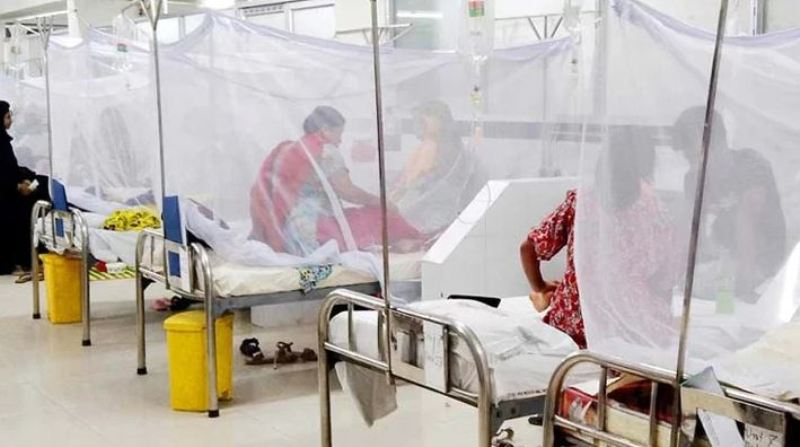Dengue: Five dead, 788 admitted to hospital on Saturday