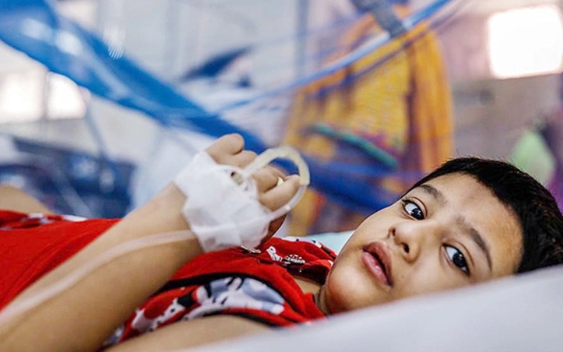 Dengue kills three, 899 new patients recorded on Thursday