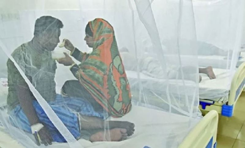 Dengue claims three more, 515 hospitalised Dengue claims three more, 515 hospitalised
