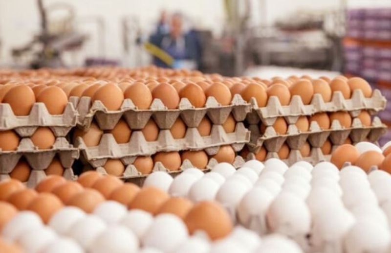 Bangladesh to import 4 crore eggs from India