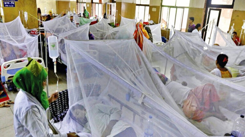 Dengue: 14 deaths reported in one day, record 2,653 patients hospitalized