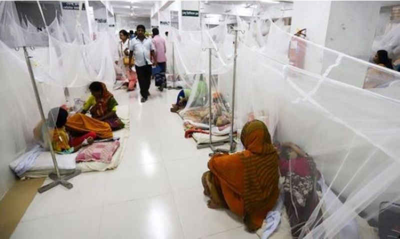 Dengue plagues entire Bangladesh with rapid outbreak