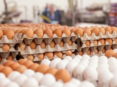 Bangladesh to import 4 crore eggs from India